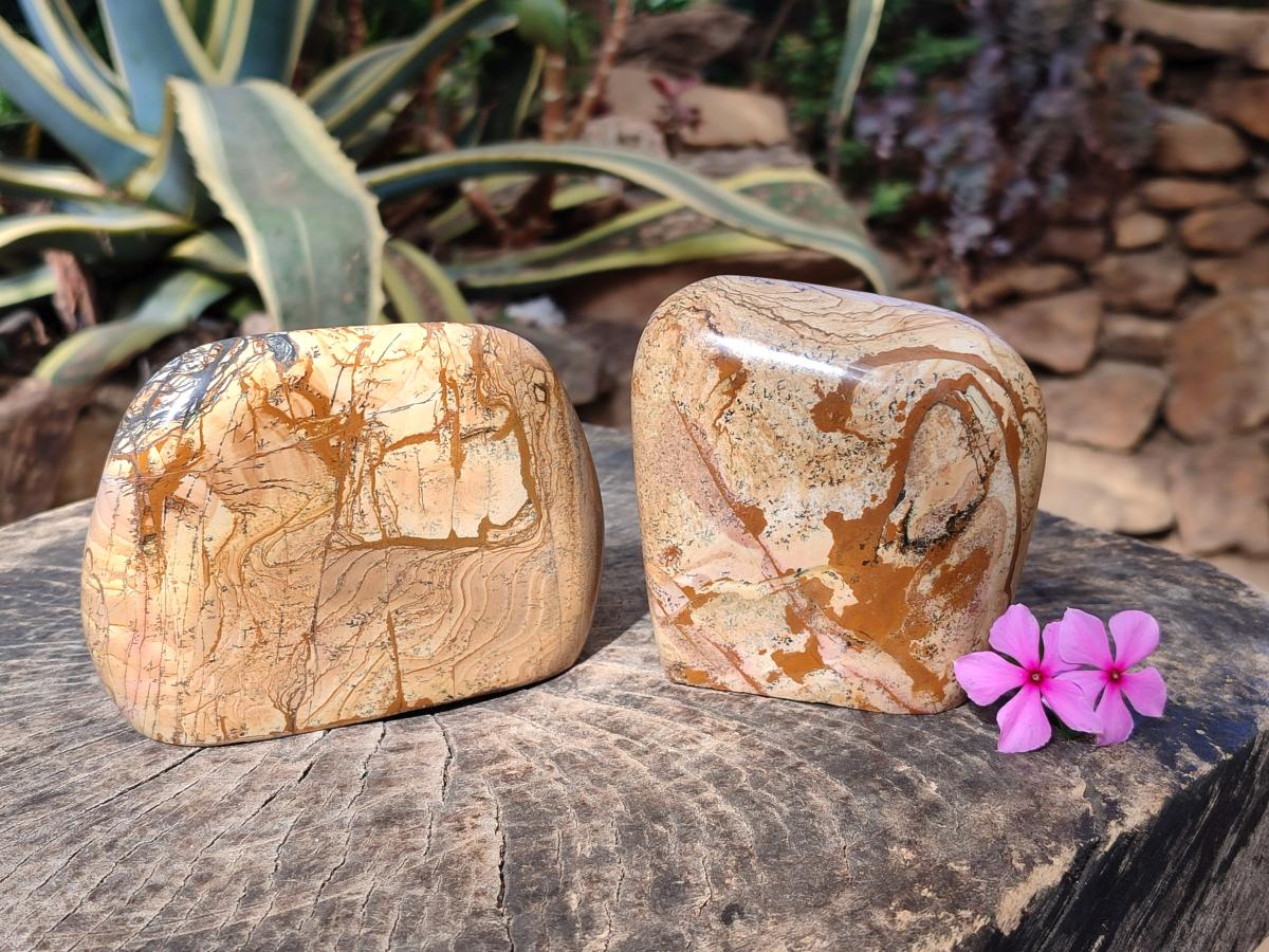 Polished Picture Stone Jasper Standing Display Pieces x 2 From Ais-Ais, Namibia - Toprock Gemstones and Minerals 