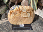 Polished Picture Stone Jasper Standing Display Pieces x 2 From Ais-Ais, Namibia - Toprock Gemstones and Minerals 