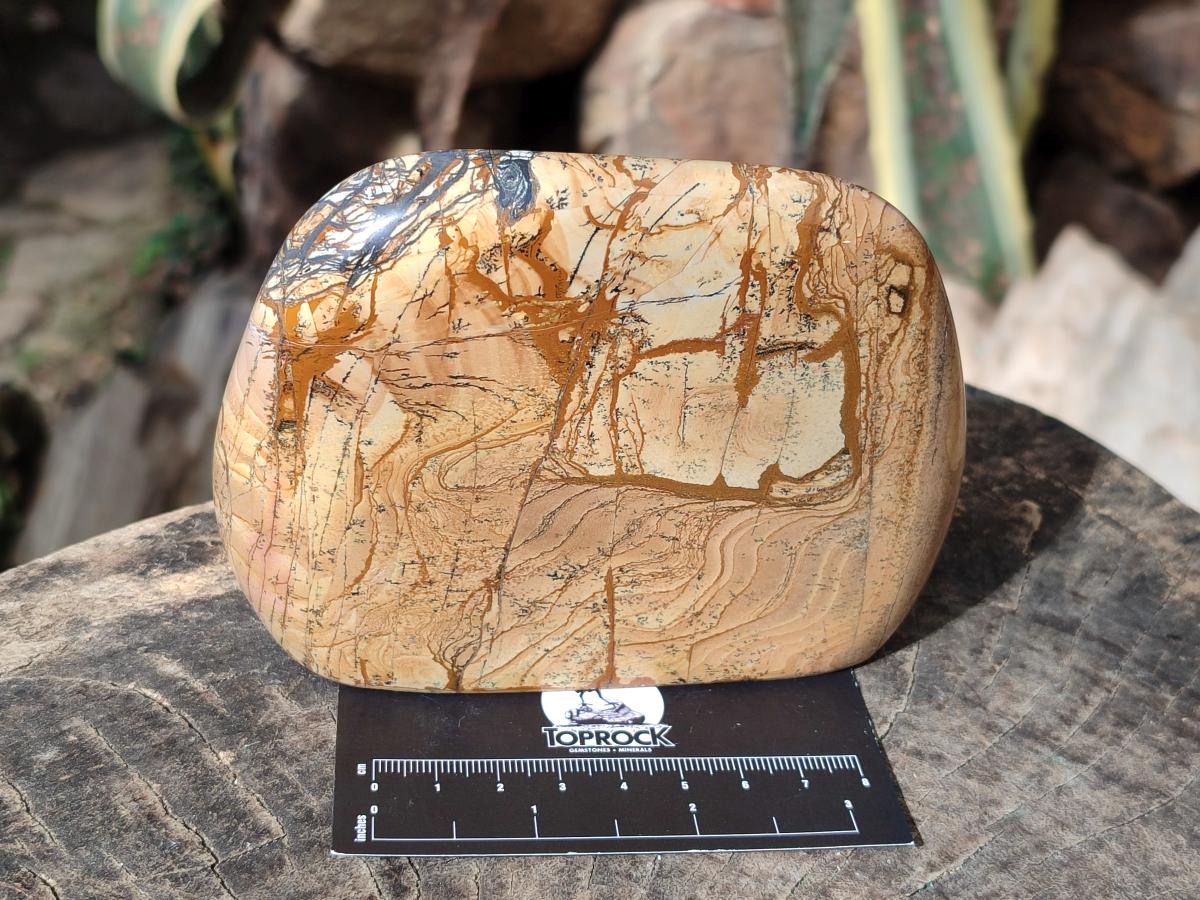 Polished Picture Stone Jasper Standing Display Pieces x 2 From Ais-Ais, Namibia - Toprock Gemstones and Minerals 