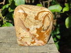 Polished Picture Stone Jasper Standing Display Pieces x 2 From Ais-Ais, Namibia - Toprock Gemstones and Minerals 