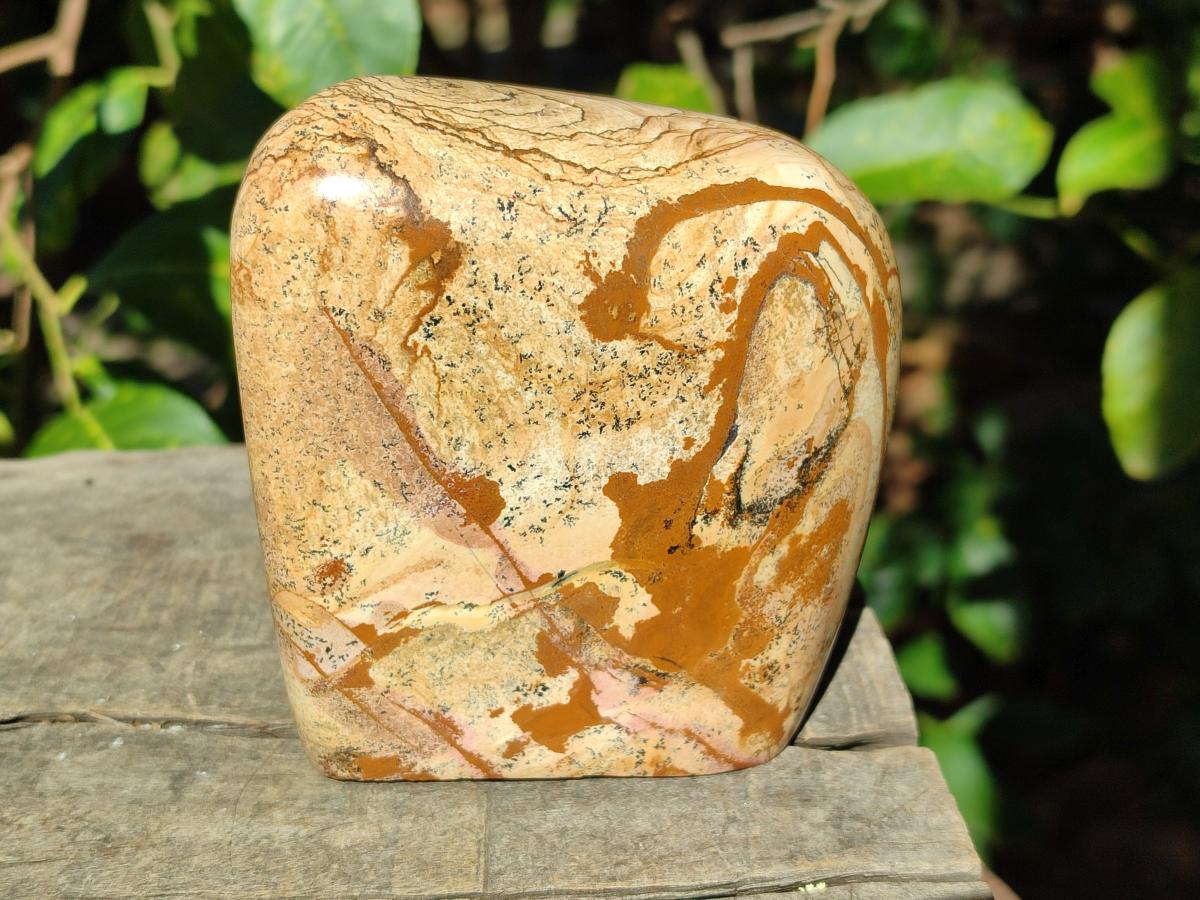 Polished Picture Stone Jasper Standing Display Pieces x 2 From Ais-Ais, Namibia - Toprock Gemstones and Minerals 