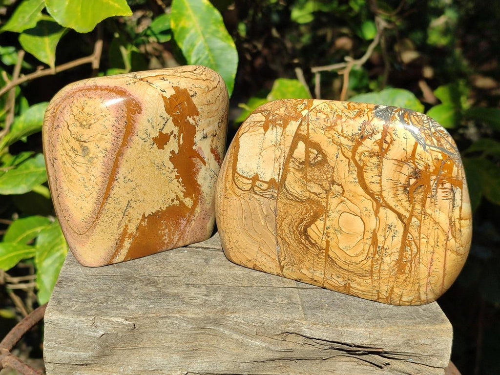 Polished Picture Stone Jasper Standing Display Pieces x 2 From Ais-Ais, Namibia - Toprock Gemstones and Minerals 