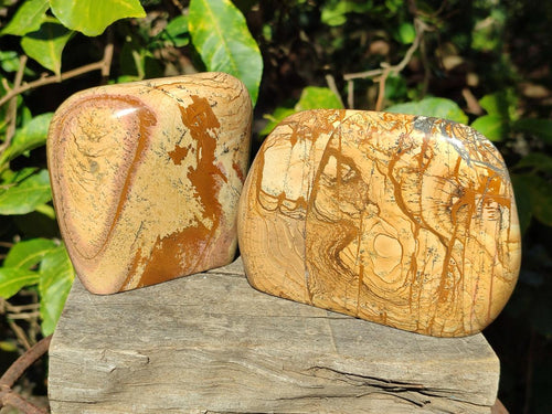 Polished Picture Stone Jasper Standing Display Pieces x 2 From Ais-Ais, Namibia - Toprock Gemstones and Minerals 