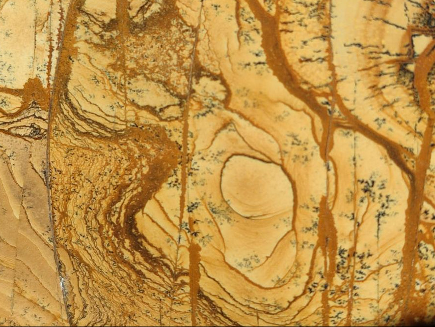 Polished Picture Stone Jasper Standing Display Pieces x 2 From Ais-Ais, Namibia - Toprock Gemstones and Minerals 