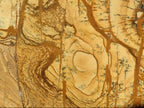Polished Picture Stone Jasper Standing Display Pieces x 2 From Ais-Ais, Namibia - Toprock Gemstones and Minerals 