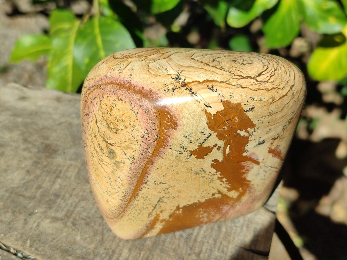 Polished Picture Stone Jasper Standing Display Pieces x 2 From Ais-Ais, Namibia - Toprock Gemstones and Minerals 