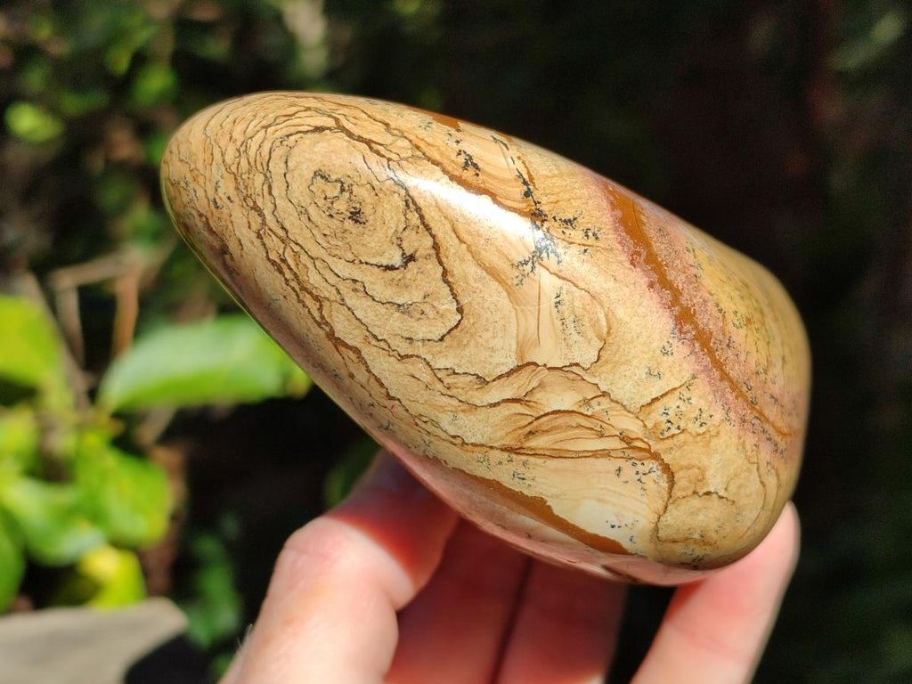 Polished Picture Stone Jasper Standing Display Pieces x 2 From Ais-Ais, Namibia - Toprock Gemstones and Minerals 