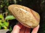 Polished Picture Stone Jasper Standing Display Pieces x 2 From Ais-Ais, Namibia - Toprock Gemstones and Minerals 