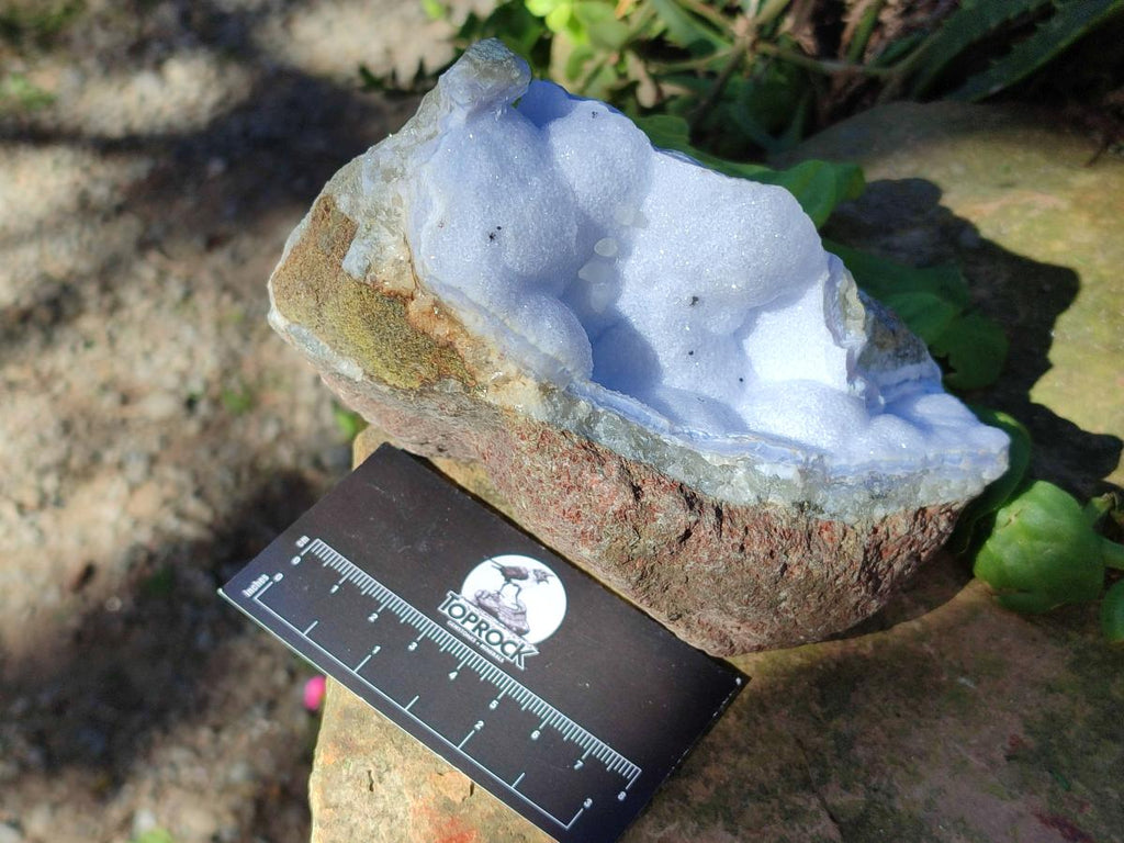 Natural Large Blue Lace Agate Geode Specimens x 6 From Nsanje, Malawi - Toprock Gemstones and Minerals 
