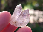 Natural Single Window Amethyst Crystals x 70 From Chiredzi, Zimbabwe - Toprock Gemstones and Minerals 