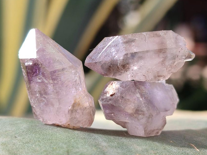 Natural Single Window Amethyst Crystals x 70 From Chiredzi, Zimbabwe - Toprock Gemstones and Minerals 