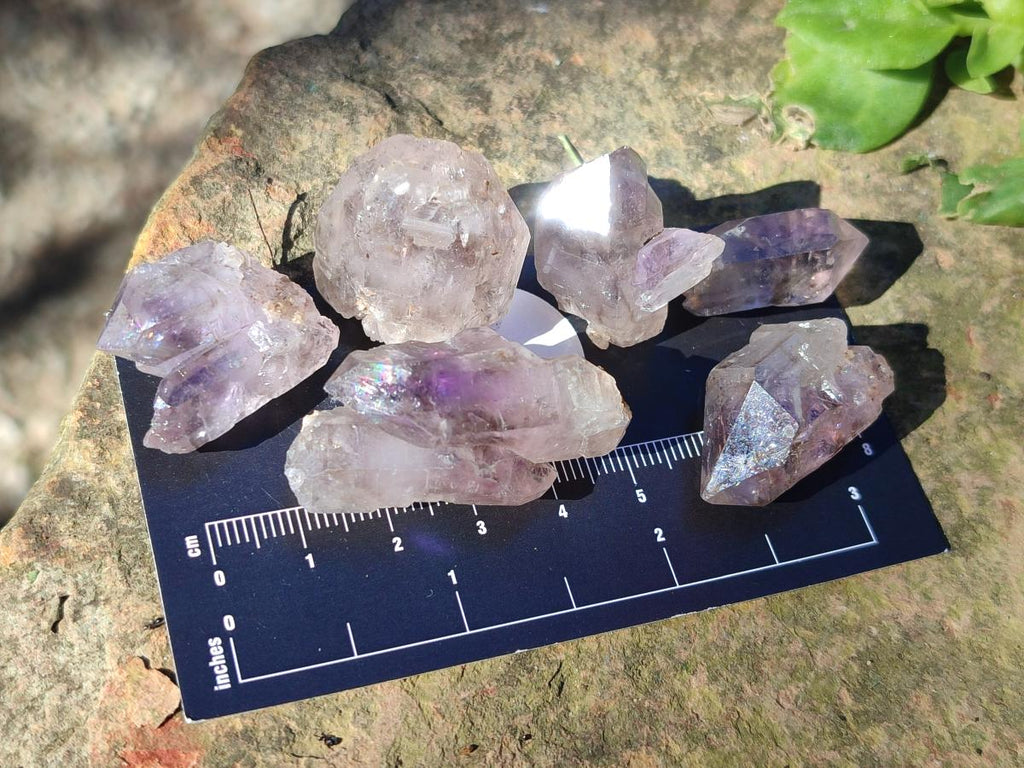 Natural Single Window Amethyst Crystals x 70 From Chiredzi, Zimbabwe - Toprock Gemstones and Minerals 