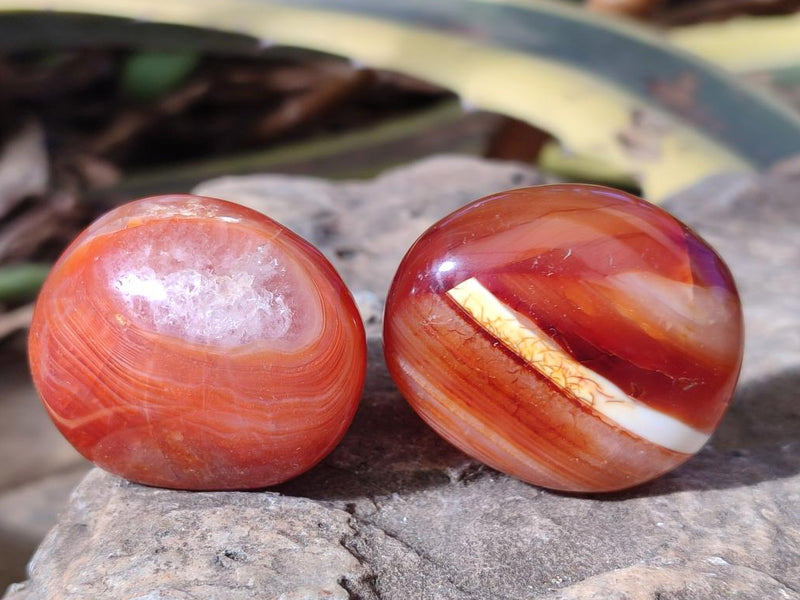 Polished Carnelian Agate Gemstone Galets x 35 From Madagascar - Toprock Gemstones and Minerals 