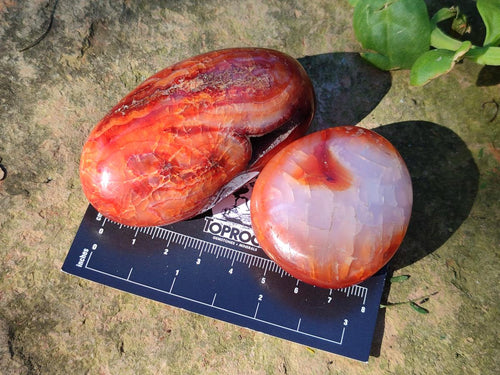 Polished Carnelian Agate Gemstone Galets x 35 From Madagascar - Toprock Gemstones and Minerals 