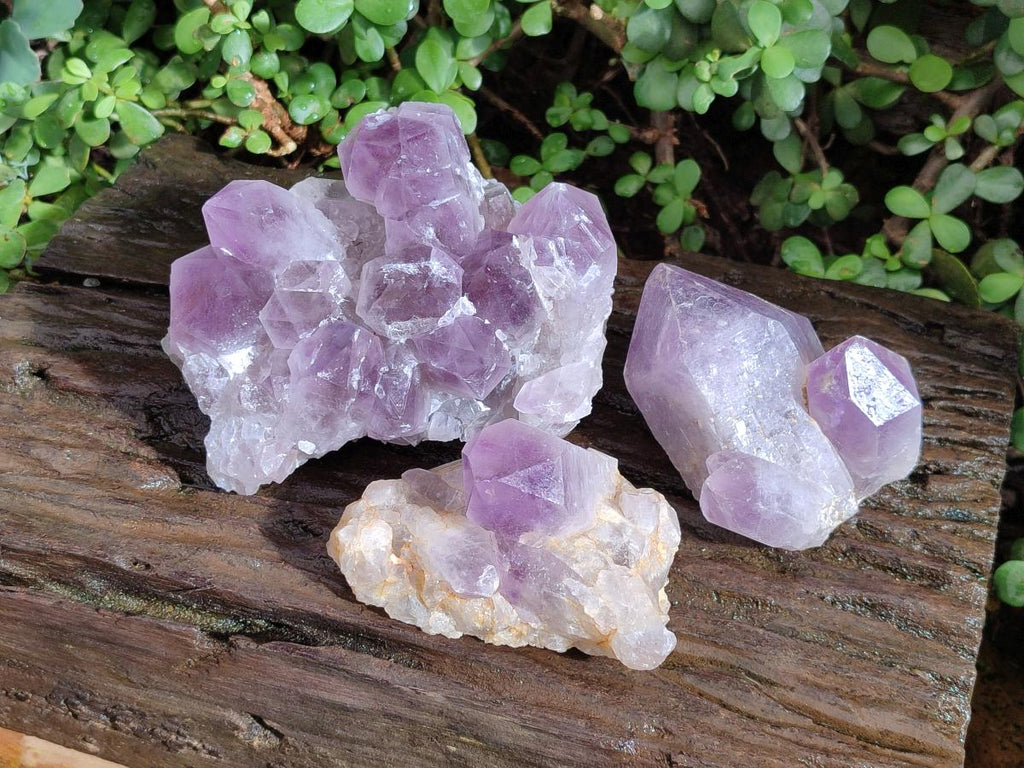 Natural Jacaranda Amethyst Crystal Clusters x 3 From Mumbwa, Zambia - Toprock Gemstones and Minerals 