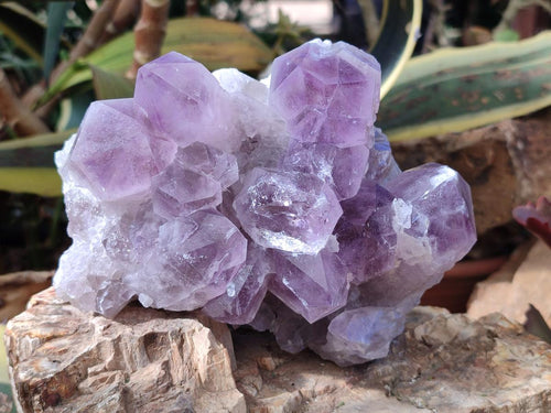 Natural Jacaranda Amethyst Crystal Clusters x 3 From Mumbwa, Zambia - Toprock Gemstones and Minerals 