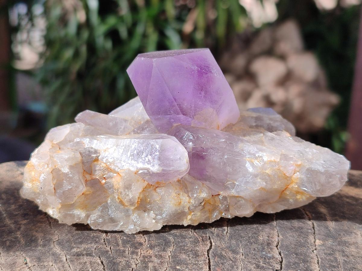 Natural Jacaranda Amethyst Crystal Clusters x 3 From Mumbwa, Zambia - Toprock Gemstones and Minerals 
