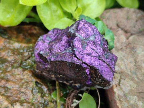 Natural Metallic Cobbed Purpurite Specimens x 12 From Erongo, Namibia - Toprock Gemstones and Minerals 