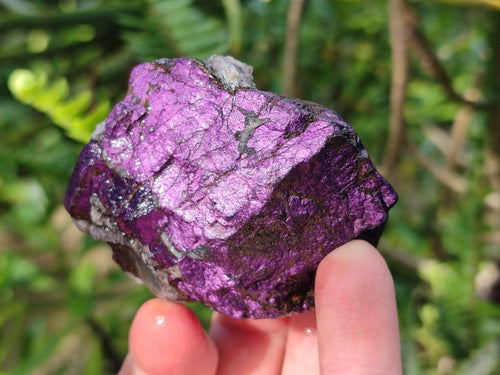 Natural Metallic Cobbed Purpurite Specimens x 12 From Erongo, Namibia - Toprock Gemstones and Minerals 