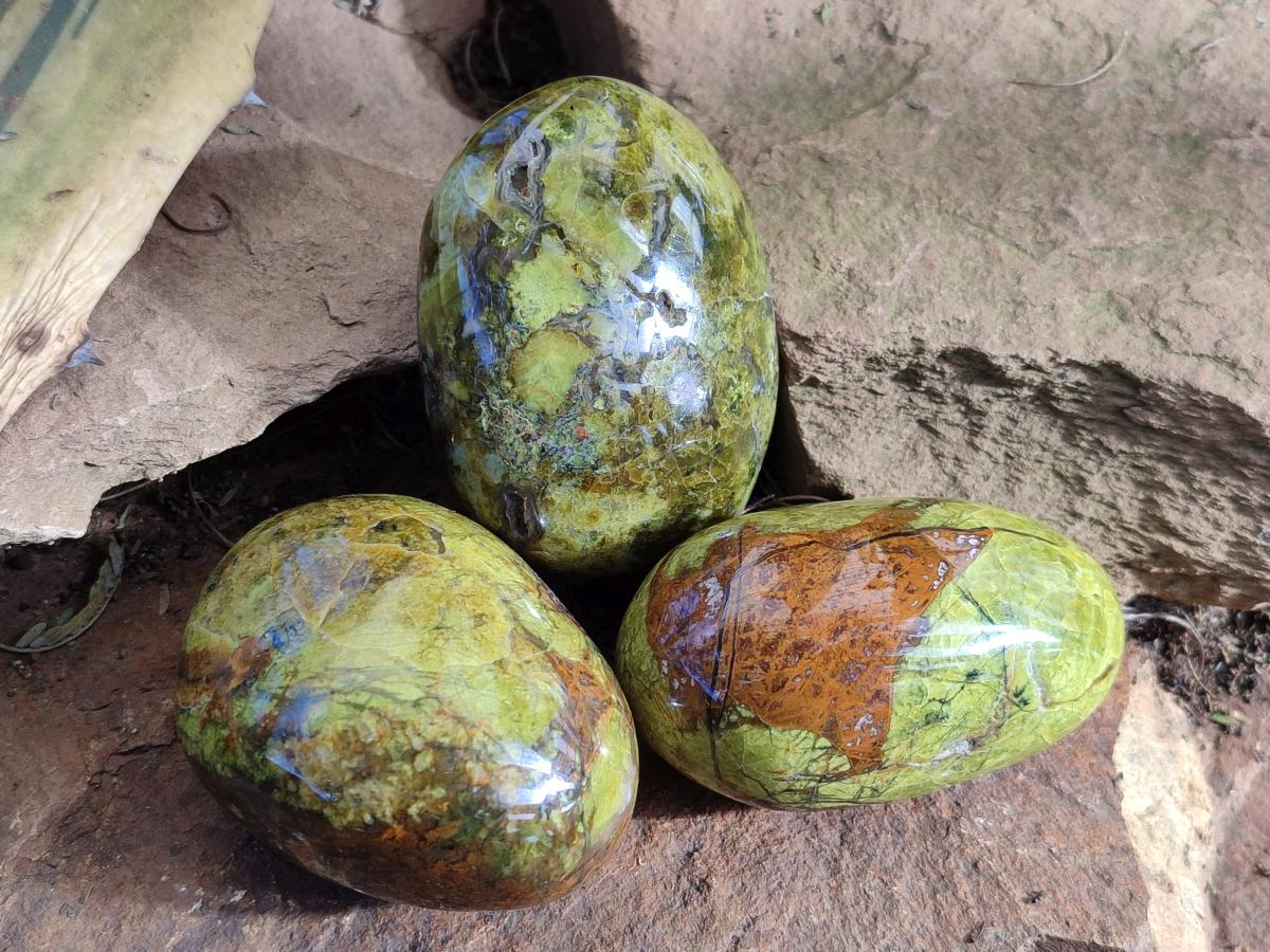 Polished Green Opal Palm Stones x 12 From Betroka, Madagascar - Toprock Gemstones and Minerals 