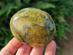 Polished Green Opal Palm Stones x 12 From Betroka, Madagascar - Toprock Gemstones and Minerals 