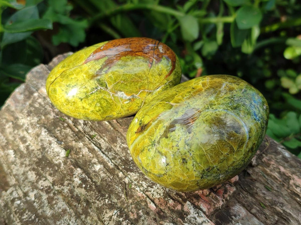 Polished Green Opal Palm Stones x 12 From Betroka, Madagascar - Toprock Gemstones and Minerals 