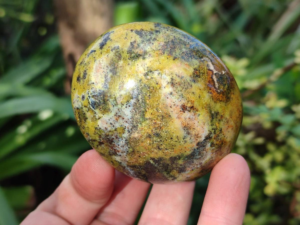 Polished Green Opal Palm Stones x 12 From Betroka, Madagascar - Toprock Gemstones and Minerals 