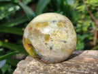 Polished Green Opal Palm Stones x 12 From Betroka, Madagascar - Toprock Gemstones and Minerals 