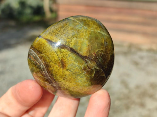 Polished Green Opal Palm Stones x 12 From Betroka, Madagascar - Toprock Gemstones and Minerals 