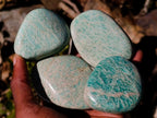 Polished Amazonite Free Forms x 24 From Zimbabwe - Toprock Gemstones and Minerals 