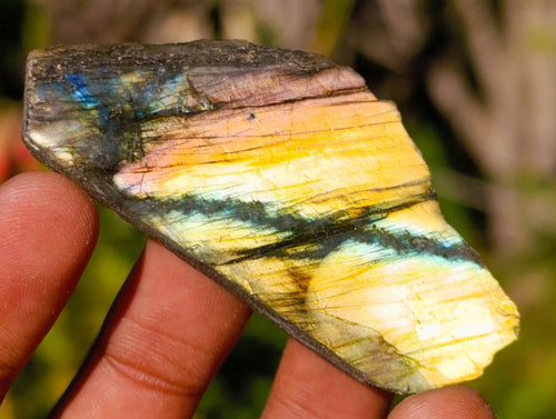Polished One Side Labradorite Slices x 35 From Madagascar - Toprock Gemstones and Minerals 