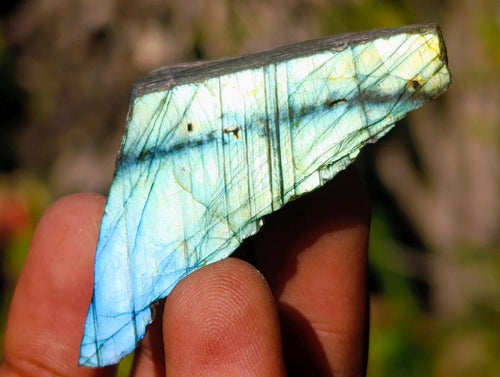 Polished One Side Labradorite Slices x 35 From Madagascar - Toprock Gemstones and Minerals 