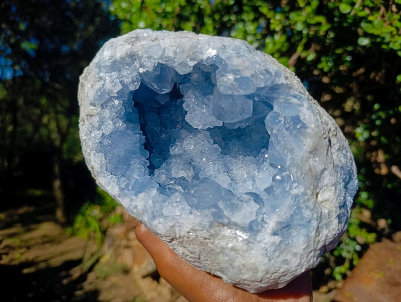 Natural Large Blue Celestite Geode Specimen x 1 From Sakoany, Madagascar - Toprock Gemstones and Minerals 