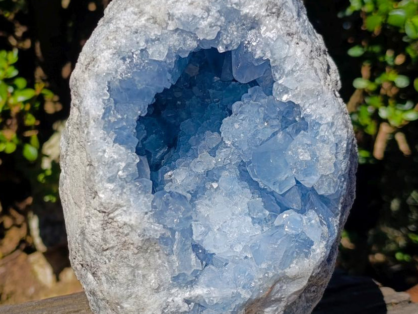 Natural Large Blue Celestite Geode Specimen x 1 From Sakoany, Madagascar - Toprock Gemstones and Minerals 