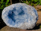Natural Large Blue Celestite Geode Specimen x 1 From Sakoany, Madagascar - Toprock Gemstones and Minerals 