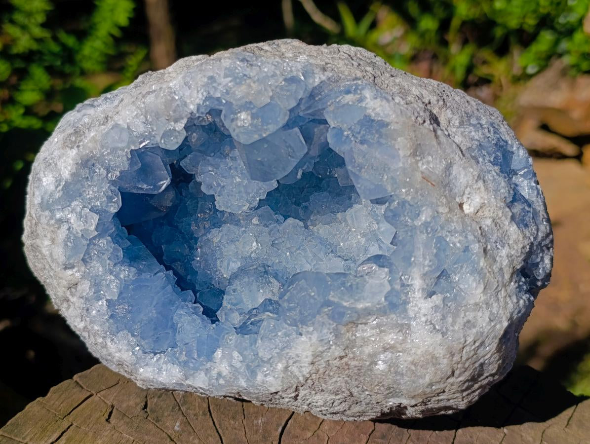 Natural Large Blue Celestite Geode Specimen x 1 From Sakoany, Madagascar - Toprock Gemstones and Minerals 