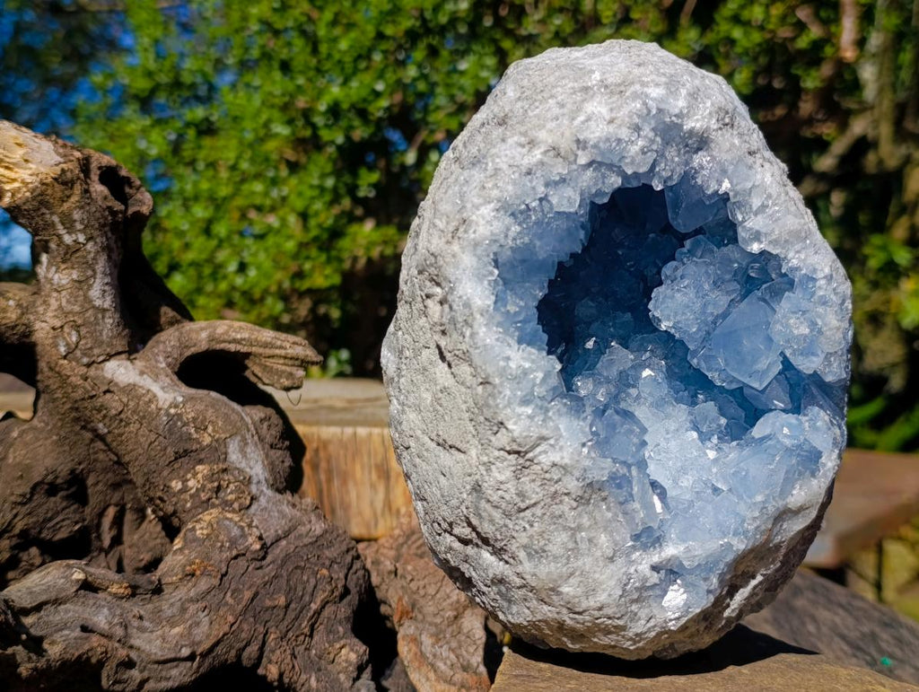 Natural Large Blue Celestite Geode Specimen x 1 From Sakoany, Madagascar - Toprock Gemstones and Minerals 