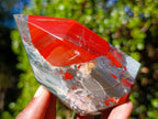 Polished Bloodstone Display Crystal Points x 2 From Swaziland - Toprock Gemstones and Minerals 