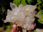 Natural Mixed Quartz Crystal Clusters x 4 From Madagascar - Toprock Gemstones and Minerals 