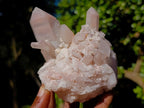 Natural Mixed Quartz Crystal Clusters x 4 From Madagascar - Toprock Gemstones and Minerals 
