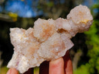 Natural Smokey Spirit Quartz Clusters x 19 From Boekenhouthoek, South Africa - Toprock Gemstones and Minerals 
