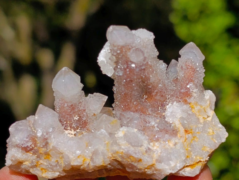 Natural Smokey Spirit Quartz Clusters x 19 From Boekenhouthoek, South Africa - Toprock Gemstones and Minerals 