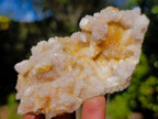 Natural Smokey Spirit Quartz Clusters x 19 From Boekenhouthoek, South Africa - Toprock Gemstones and Minerals 