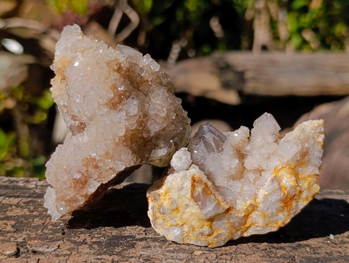 Natural Smokey Spirit Quartz Clusters x 19 From Boekenhouthoek, South Africa - Toprock Gemstones and Minerals 