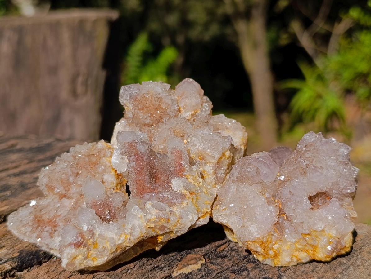 Natural Smokey Spirit Quartz Clusters x 19 From Boekenhouthoek, South Africa - Toprock Gemstones and Minerals 
