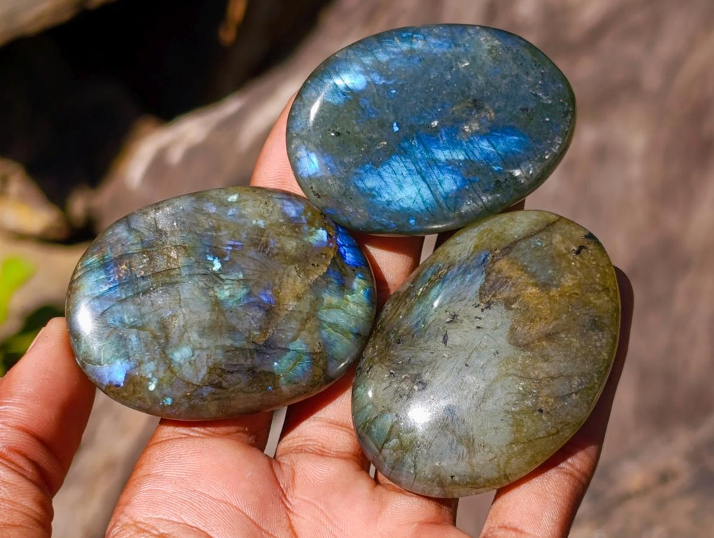 Polished Labradorite Palm Stones x 35 From Madagascar - Toprock Gemstones and Minerals 