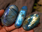Polished Labradorite Palm Stones x 35 From Madagascar - Toprock Gemstones and Minerals 