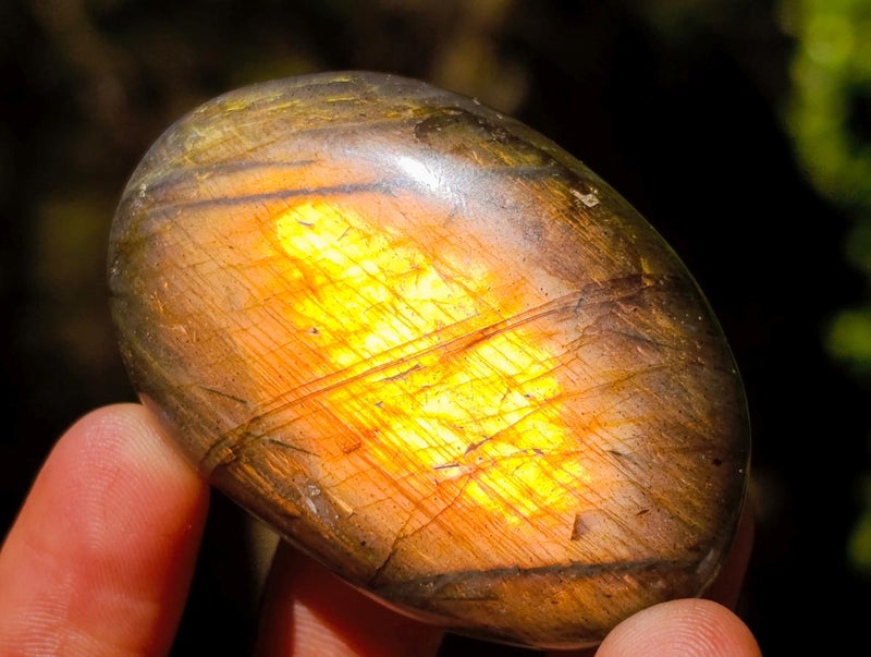 Polished Labradorite Palm Stones x 35 From Madagascar - Toprock Gemstones and Minerals 