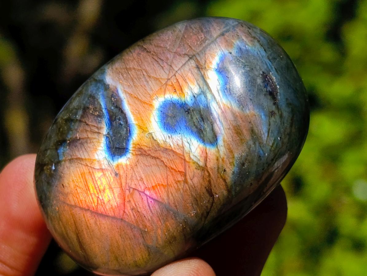 Polished Labradorite Palm Stones x 35 From Madagascar - Toprock Gemstones and Minerals 