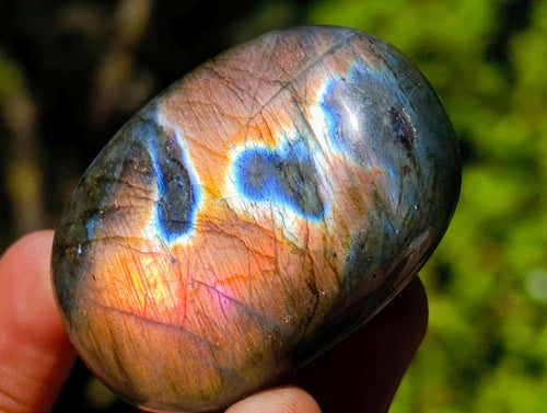 Polished Labradorite Palm Stones x 35 From Madagascar - Toprock Gemstones and Minerals 
